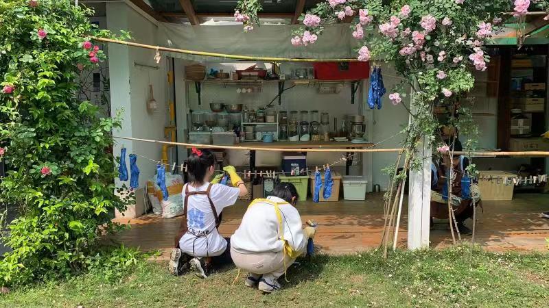 lorem ipsum dolor sit