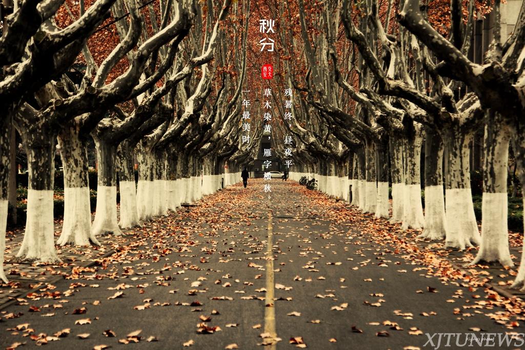 lorem ipsum dolor sit