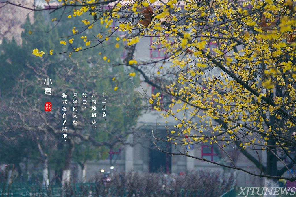 lorem ipsum dolor sit