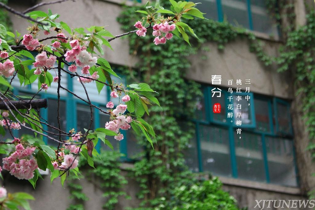 lorem ipsum dolor sit